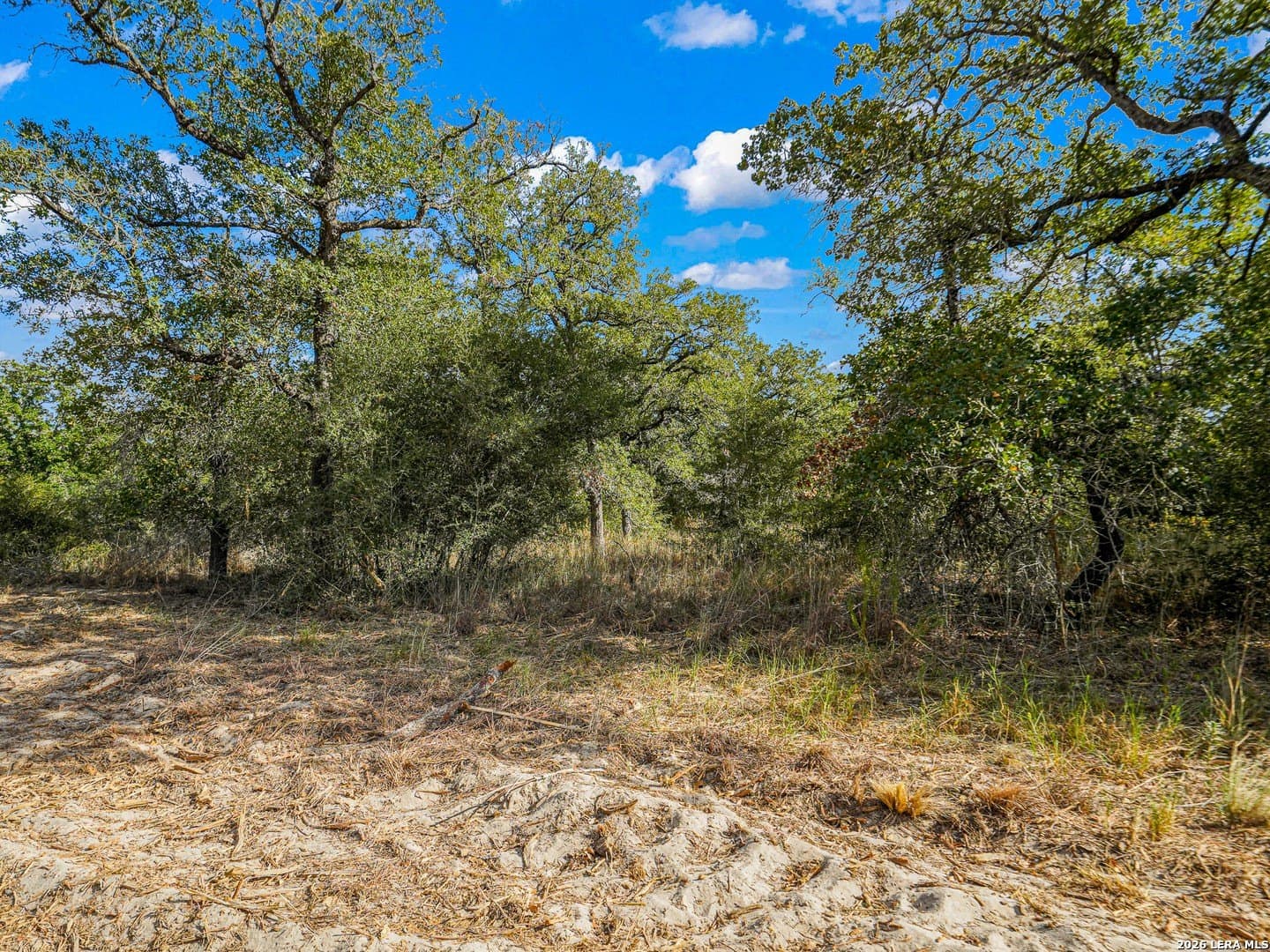 10.04 acres in Guadalupe County - photo 5