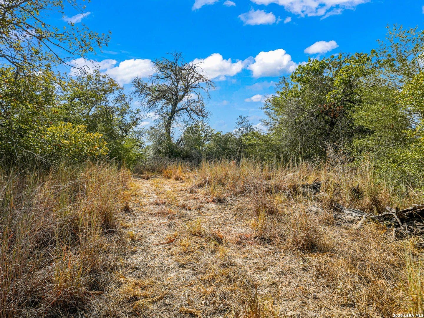 10.04 acres in Guadalupe County - photo 6