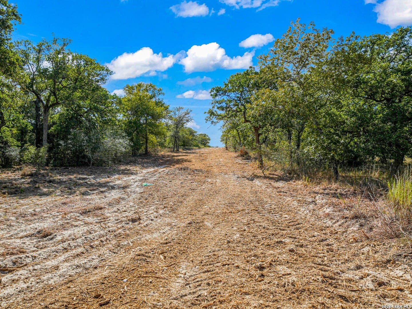 10.04 acres in Guadalupe County - photo 11