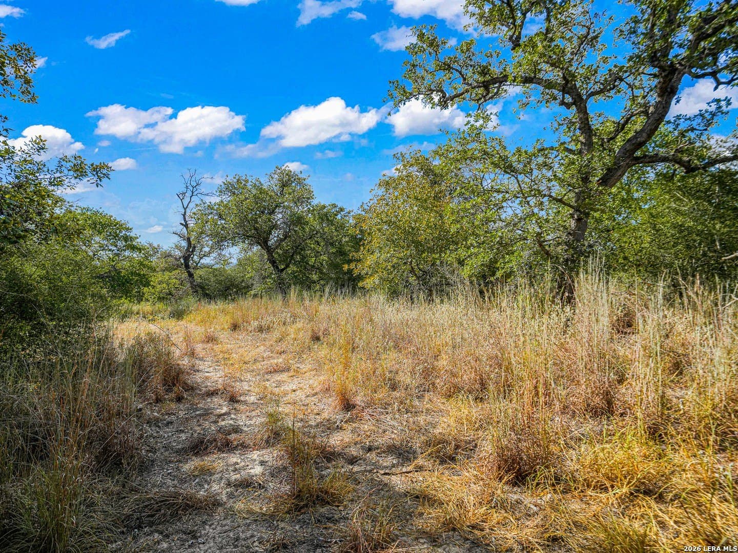 10.04 acres in Guadalupe County - photo 10