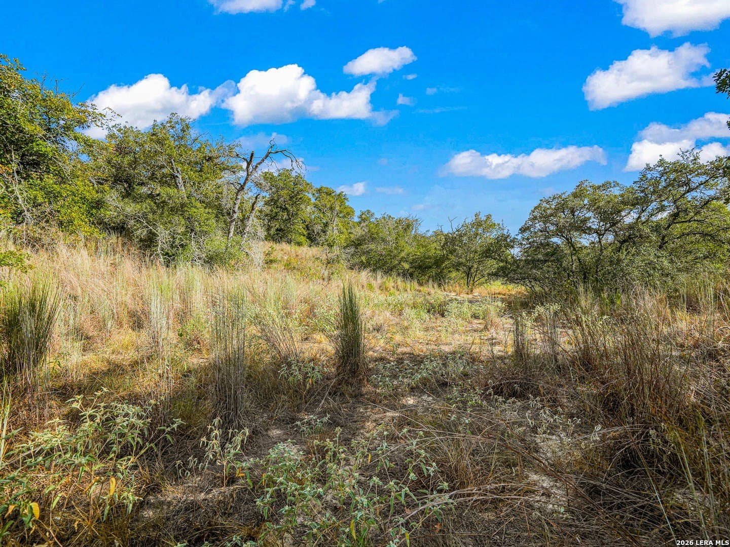 10.04 acres in Guadalupe County