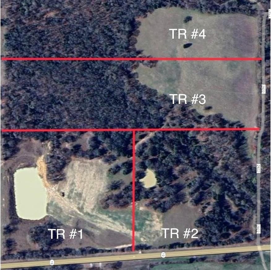 20 acres in Van Zandt County gallery image 2