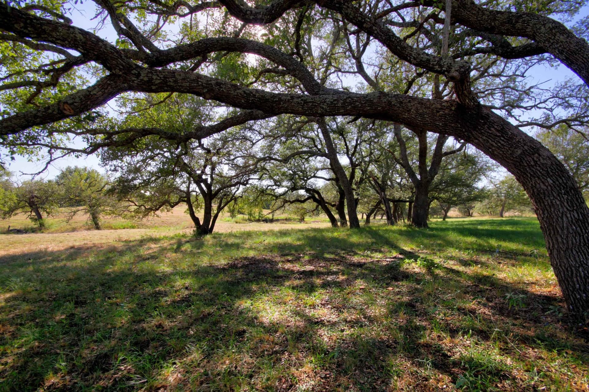 10.2 acres in Llano County - photo 20
