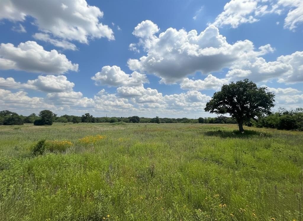 40 acres in Eastland County gallery image 4