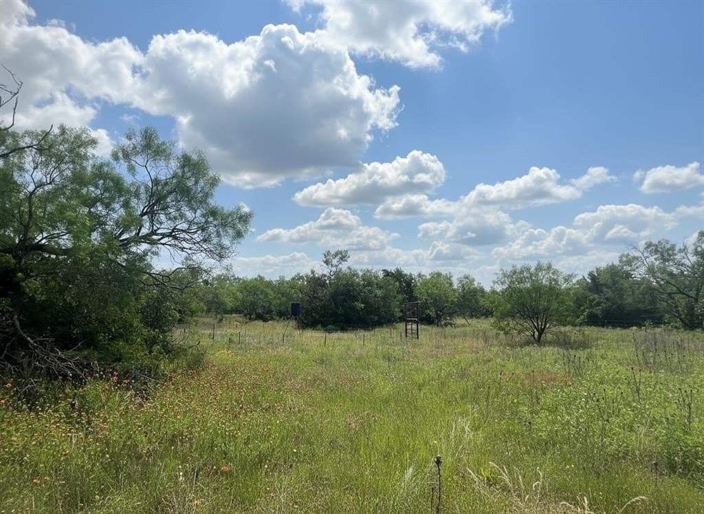 40 acres in Eastland County featured view