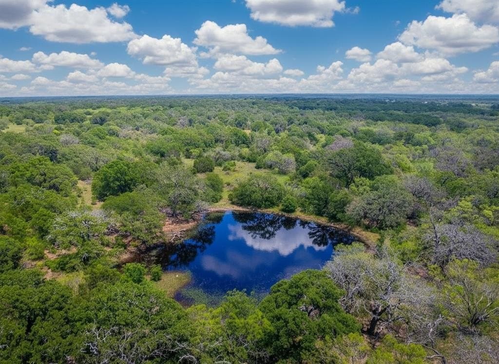 40 acres in Eastland County gallery image 2
