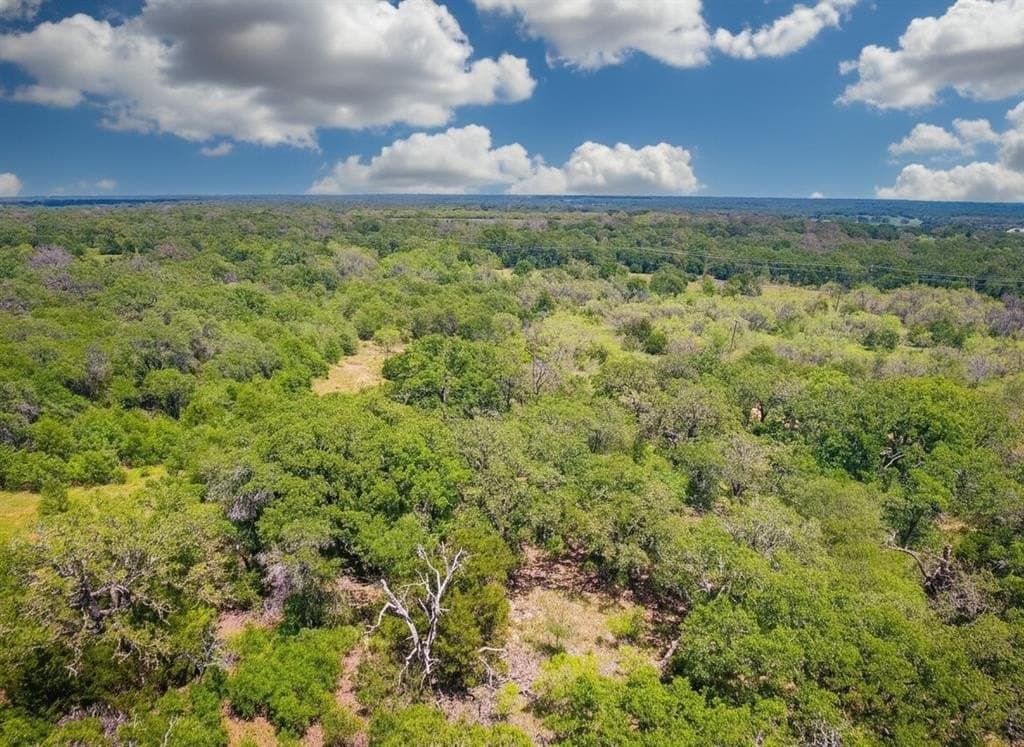 40 acres in Eastland County gallery image 3