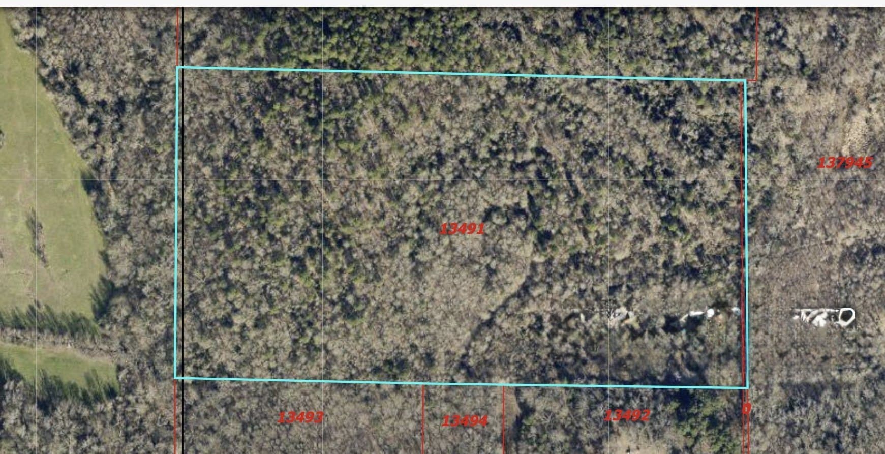 35 acres in Wood County gallery image 2