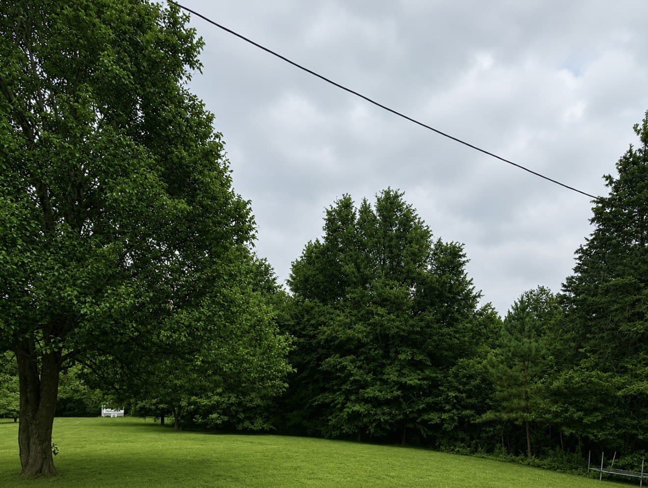 35 acres in Wood County - photo 6