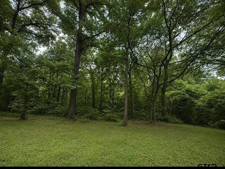 35 acres in Wood County - photo 9
