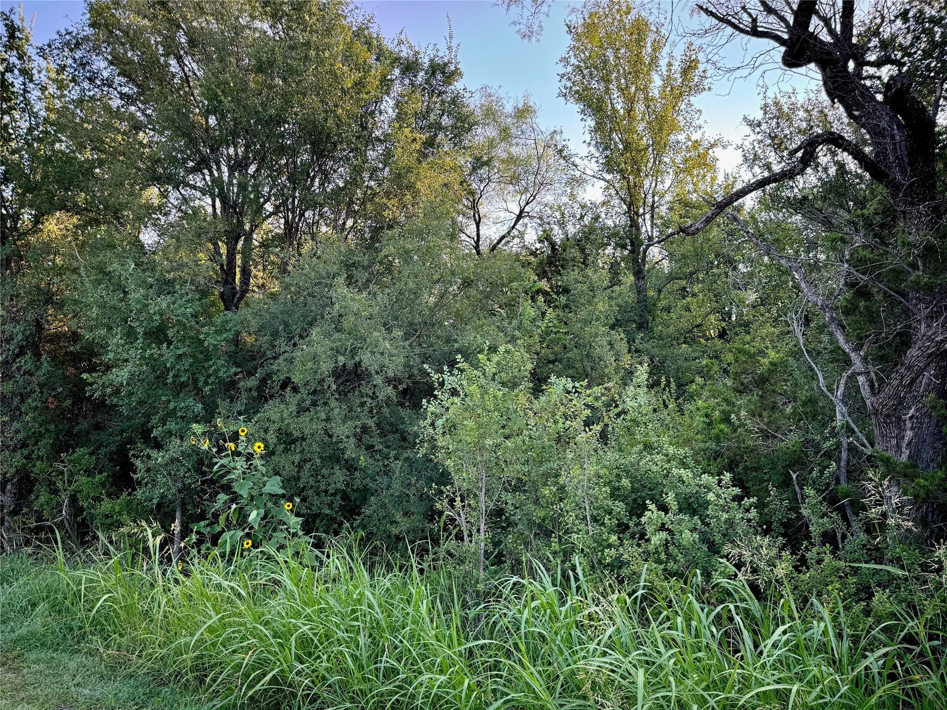 2.4 acres in Johnson County - photo 3
