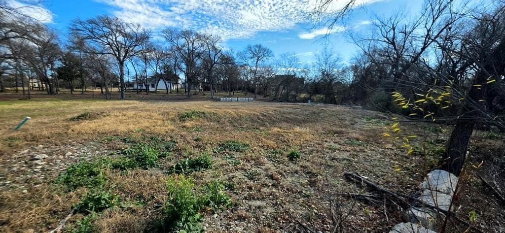 0.57 acres in Collin County gallery image 4