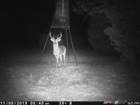 199.07 acres in Comanche County gallery image 2