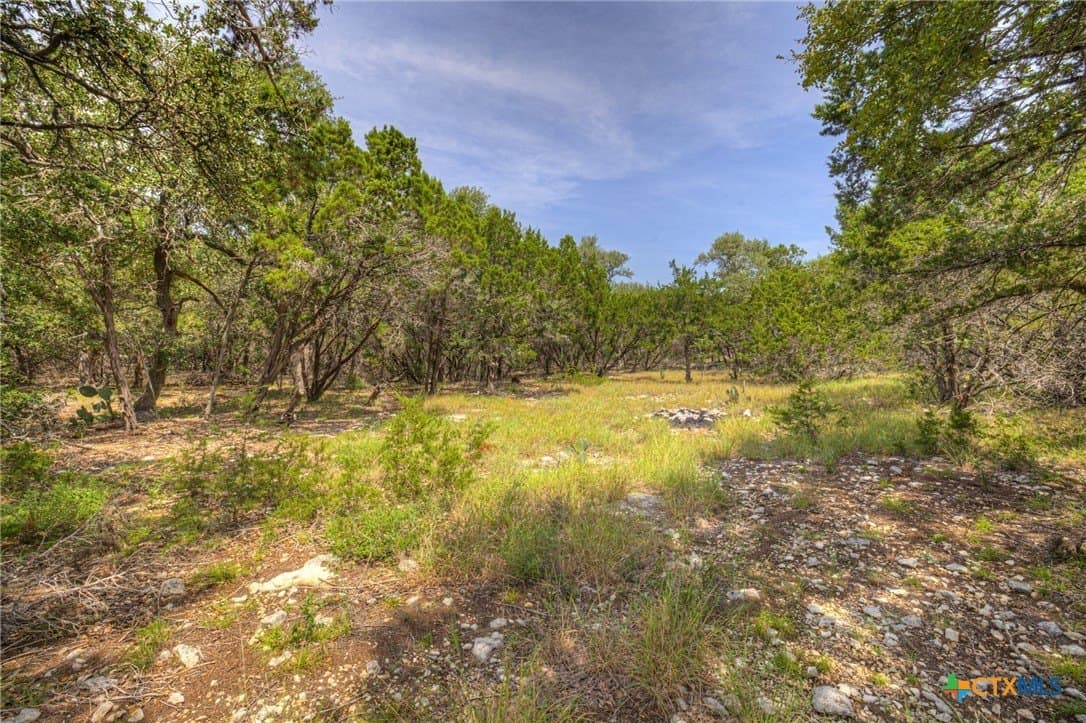 1.4 acres in Comal County - photo 6