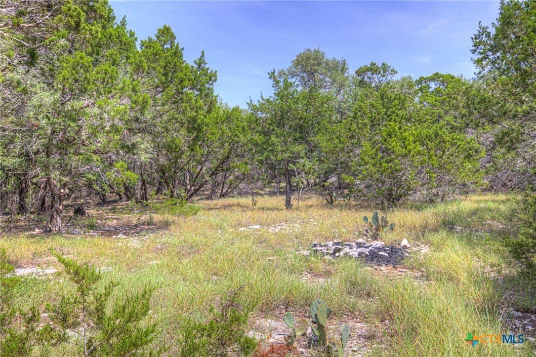 1.4 acres in Comal County - photo 8