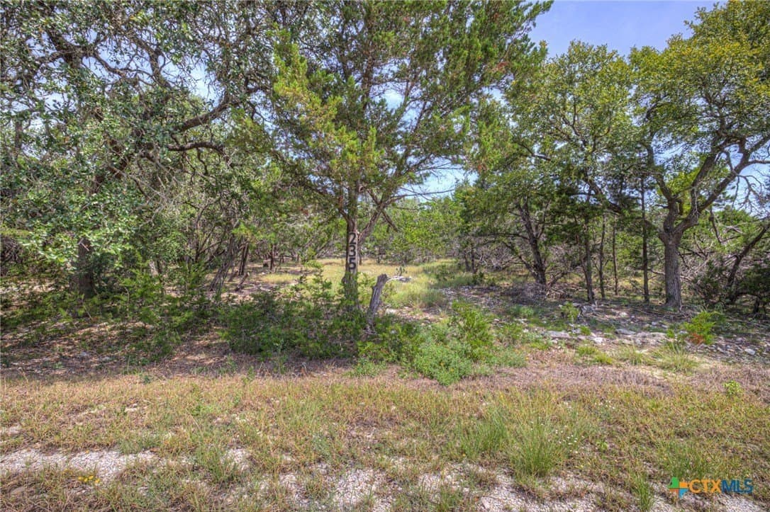 1.4 acres in Comal County gallery image 3