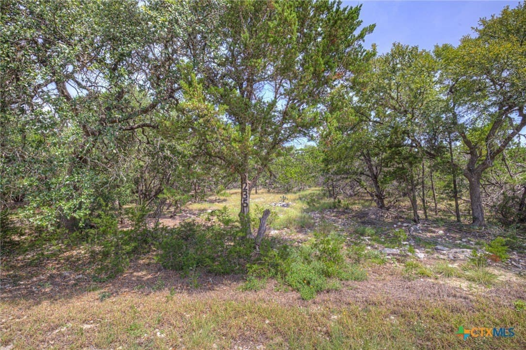 1.4 acres in Comal County gallery image 2