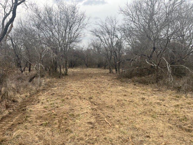 17.18 acres in Jack County gallery image 3
