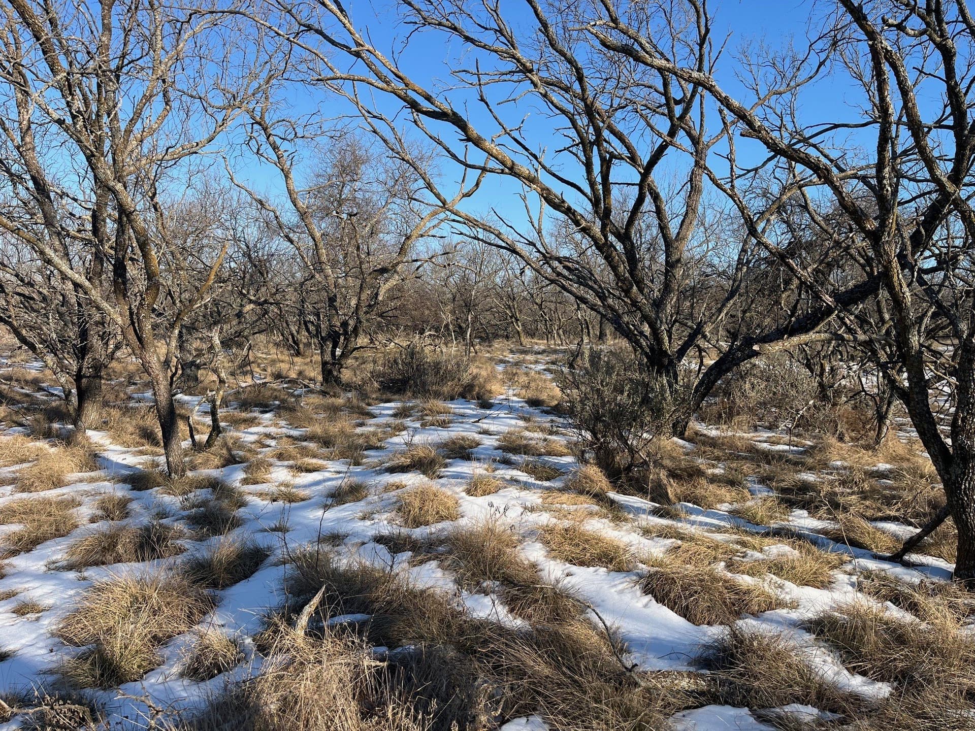 17.18 acres in Jack County - photo 10