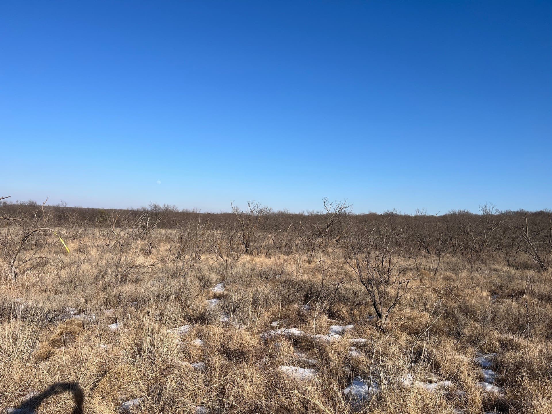 17.18 acres in Jack County featured view