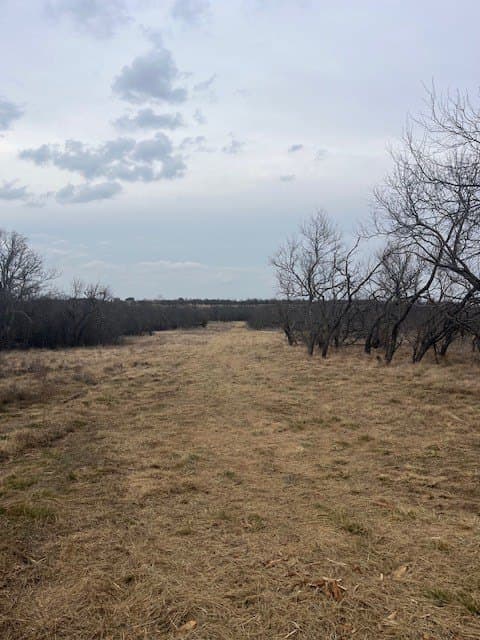 17.18 acres in Jack County - photo 7