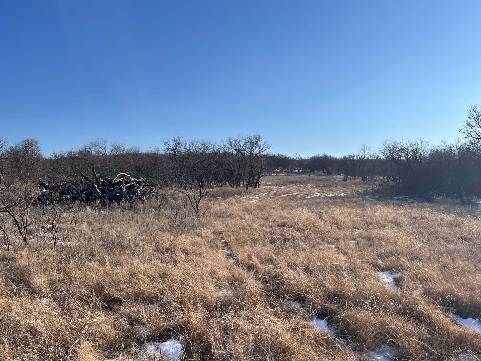 17.18 acres in Jack County - photo 8