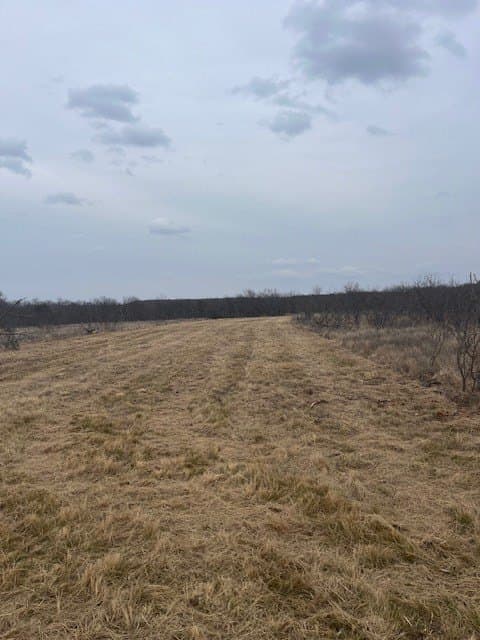 17.18 acres in Jack County gallery image 2