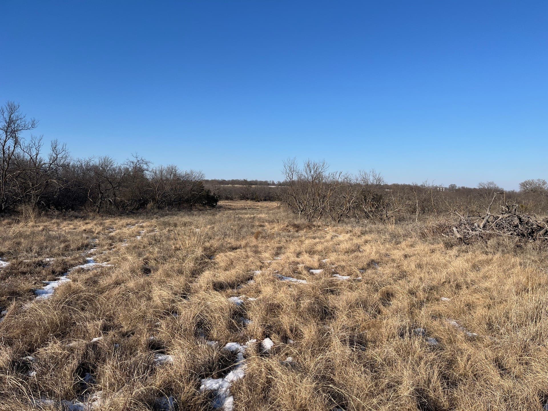 17.18 acres in Jack County - photo 6