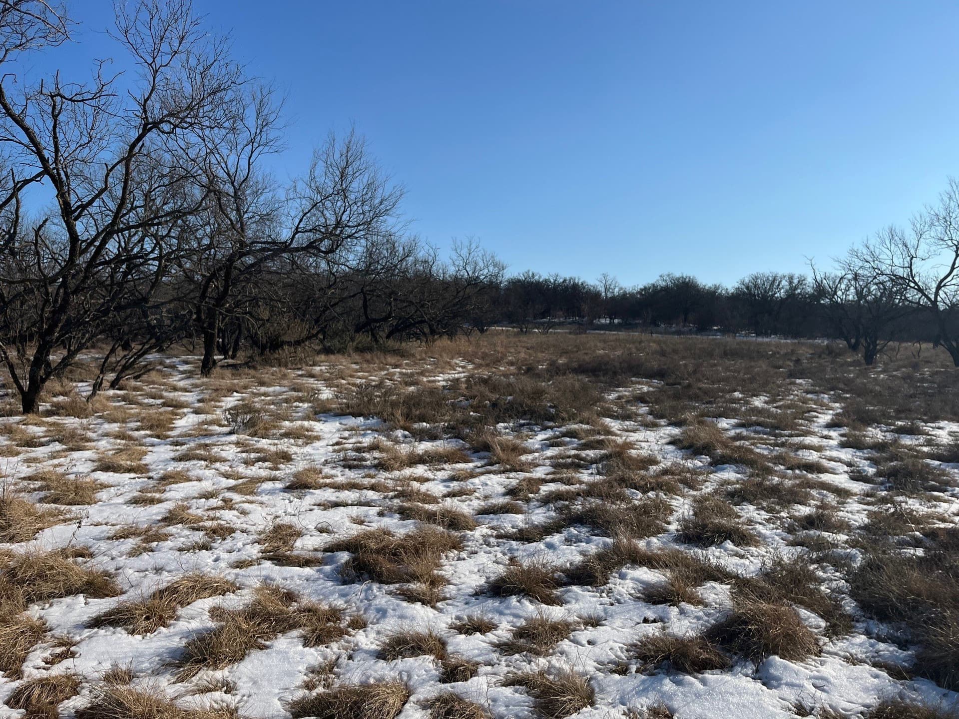 17.18 acres in Jack County - photo 9