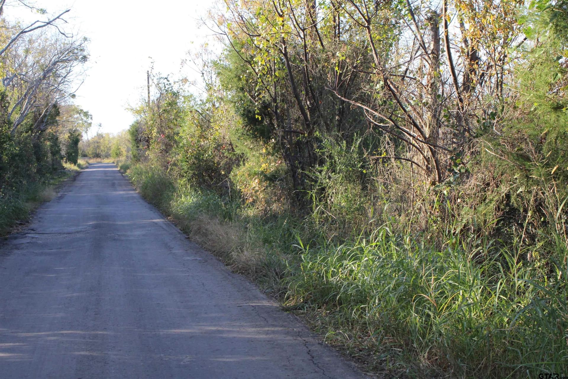 27.8 acres in Van Zandt County - photo 14