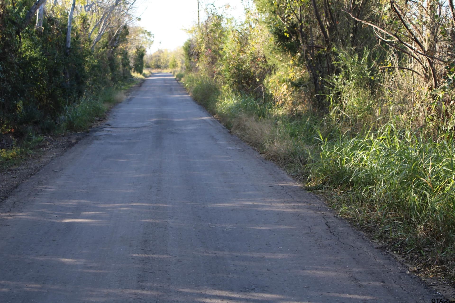 27.8 acres in Van Zandt County - photo 13