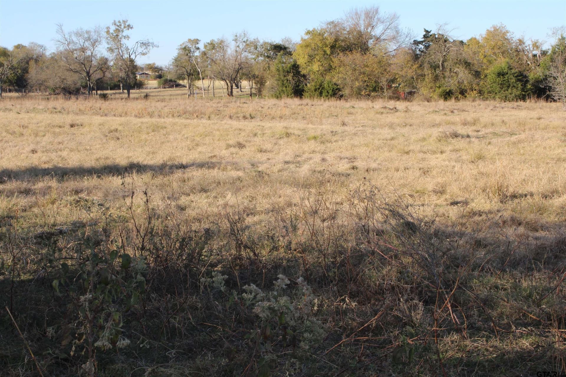 27.8 acres in Van Zandt County gallery image 4