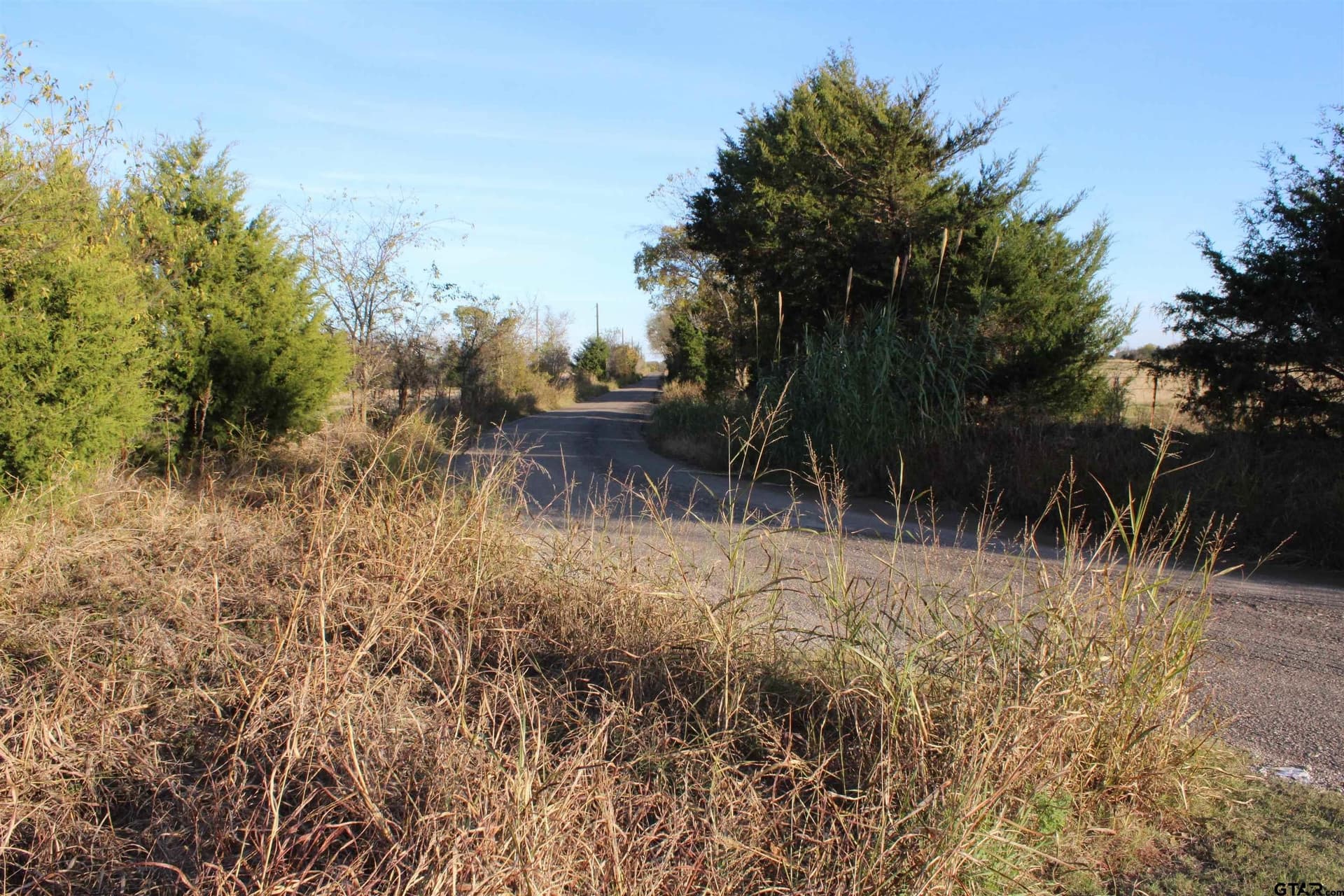 27.8 acres in Van Zandt County - photo 10