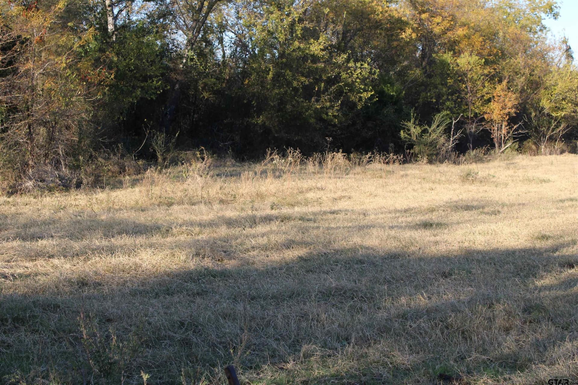 27.8 acres in Van Zandt County - photo 12