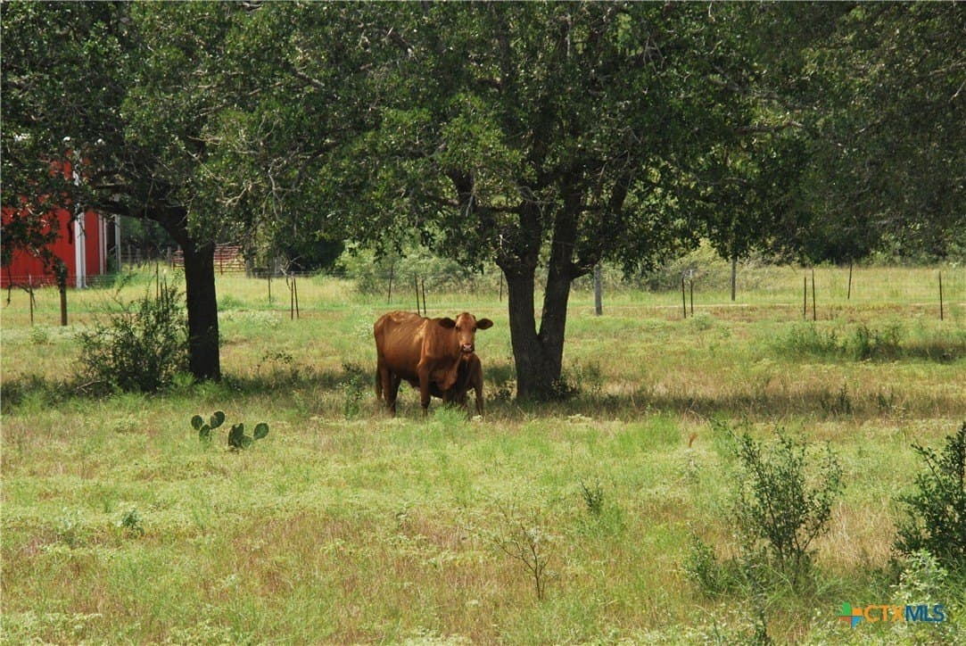 13.43 acres in Fayette County - photo 7