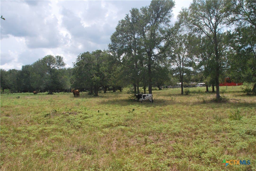 13.43 acres in Fayette County - photo 14