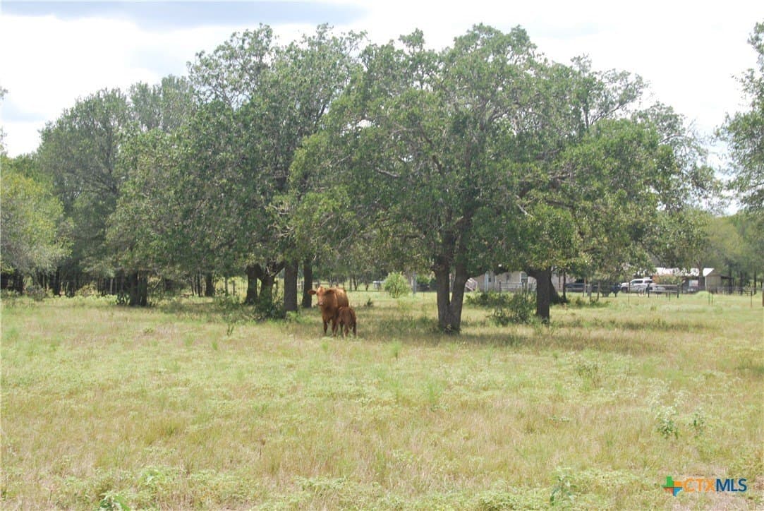 13.43 acres in Fayette County - photo 13