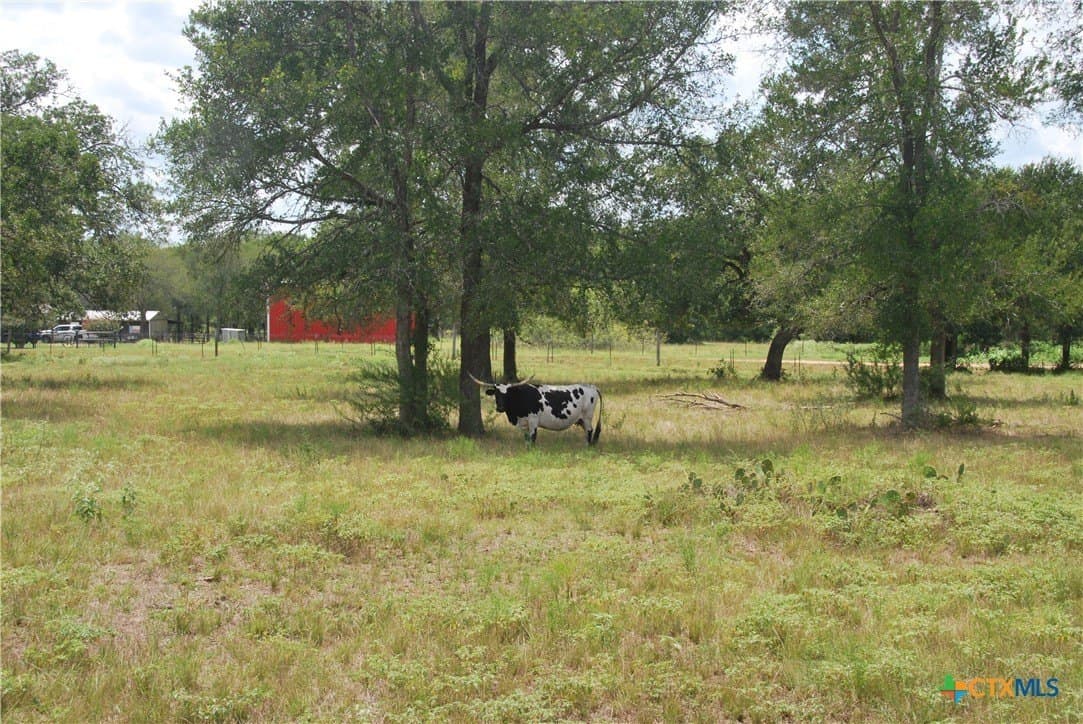 13.43 acres in Fayette County - photo 21