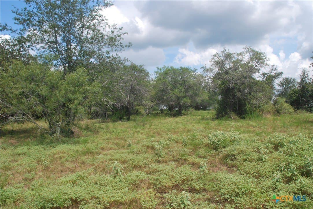 13.43 acres in Fayette County - photo 18