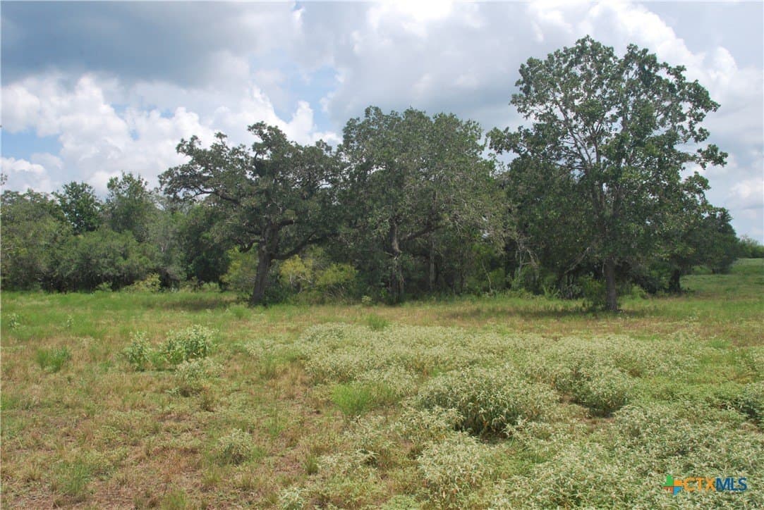 13.43 acres in Fayette County - photo 10