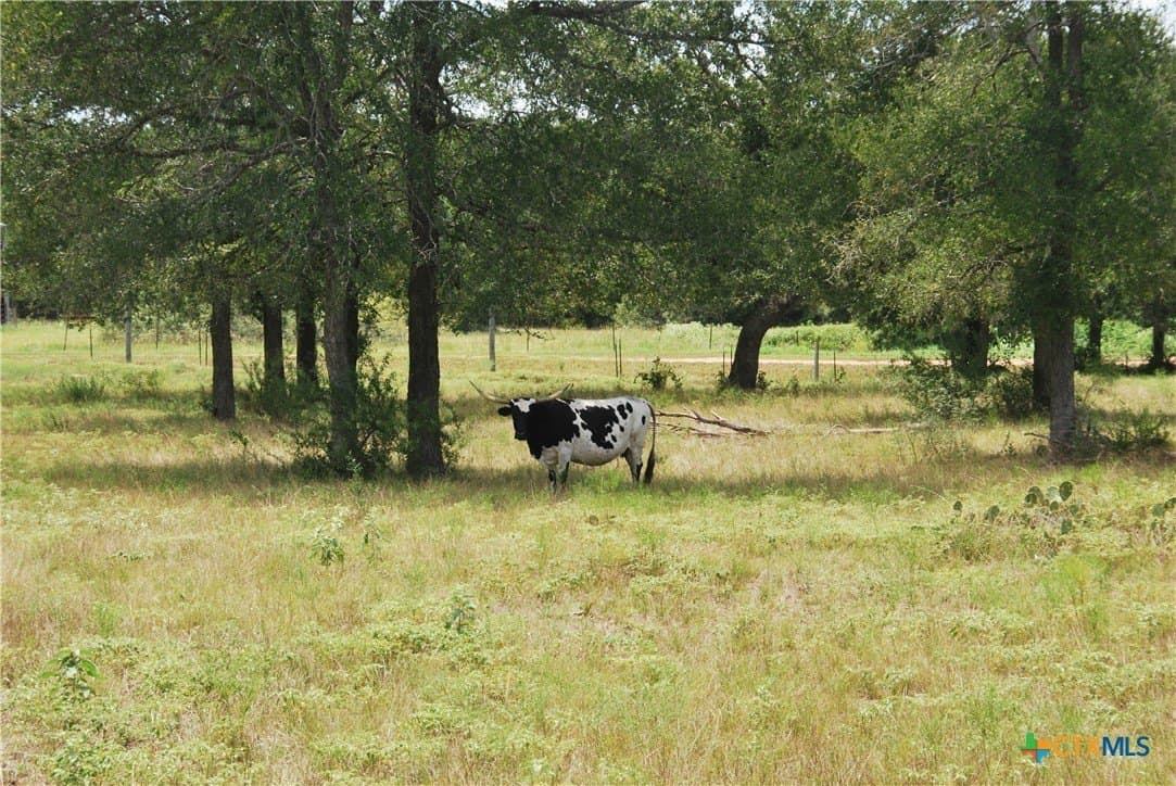 13.43 acres in Fayette County - photo 8