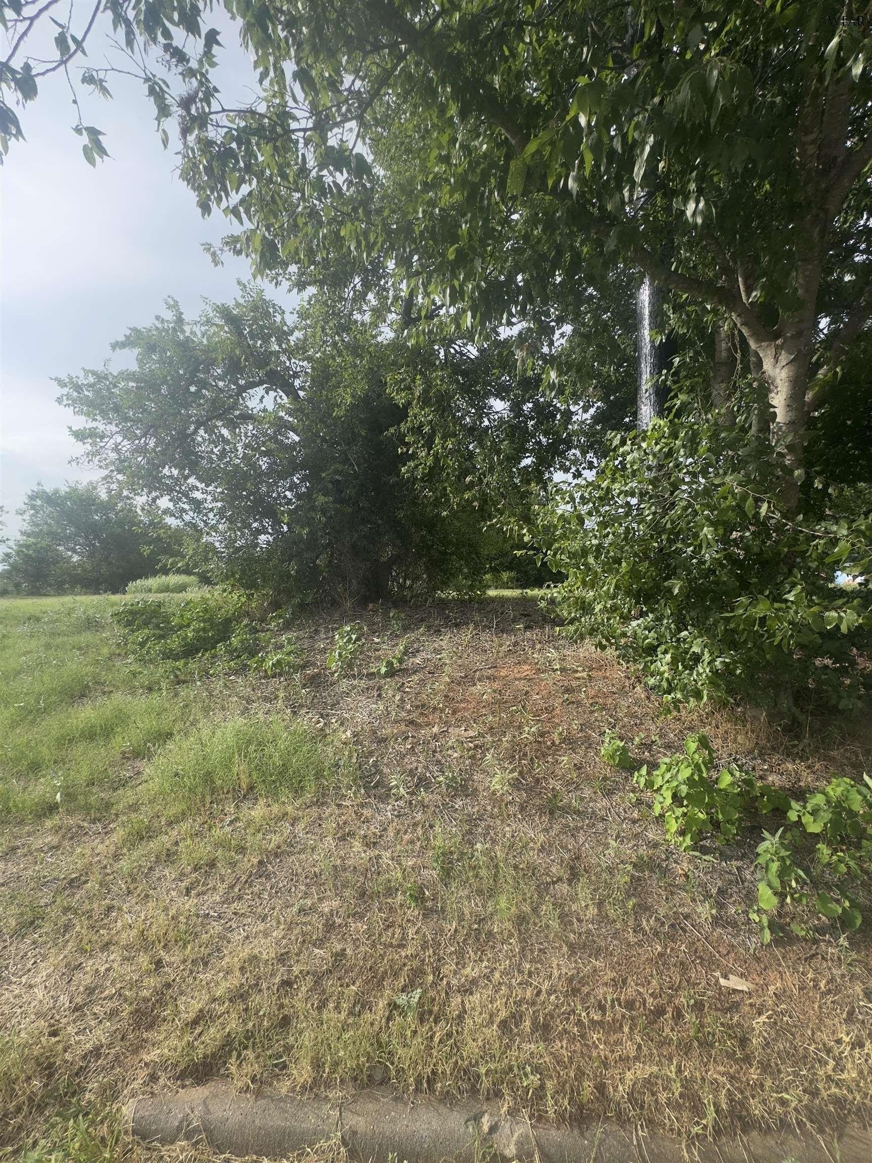 0.13 acres in Wichita County gallery image 3