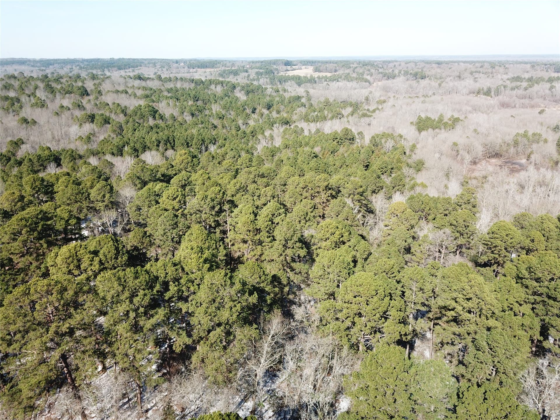 28.35 acres in Smith County - photo 10