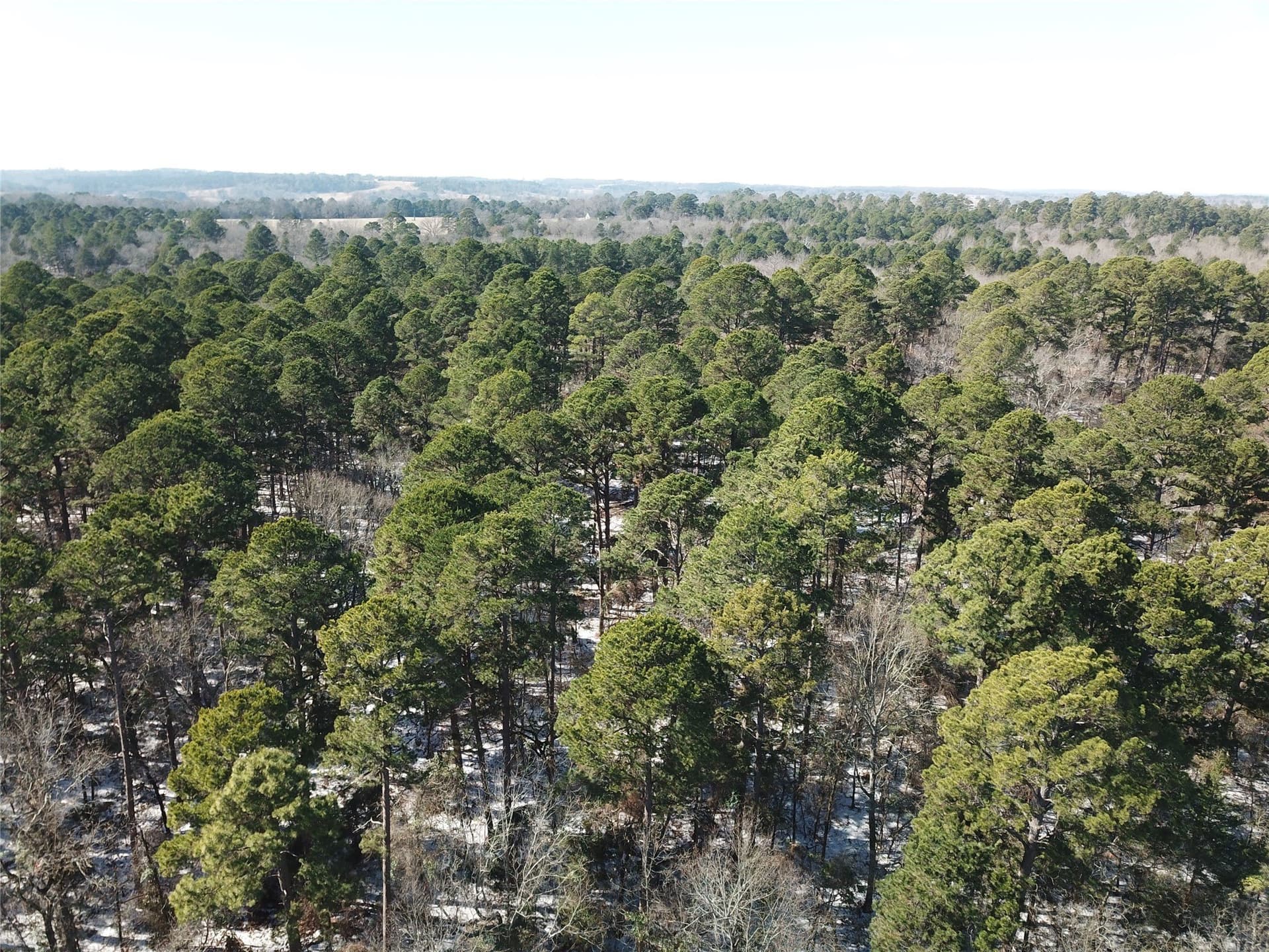 28.35 acres in Smith County - photo 5