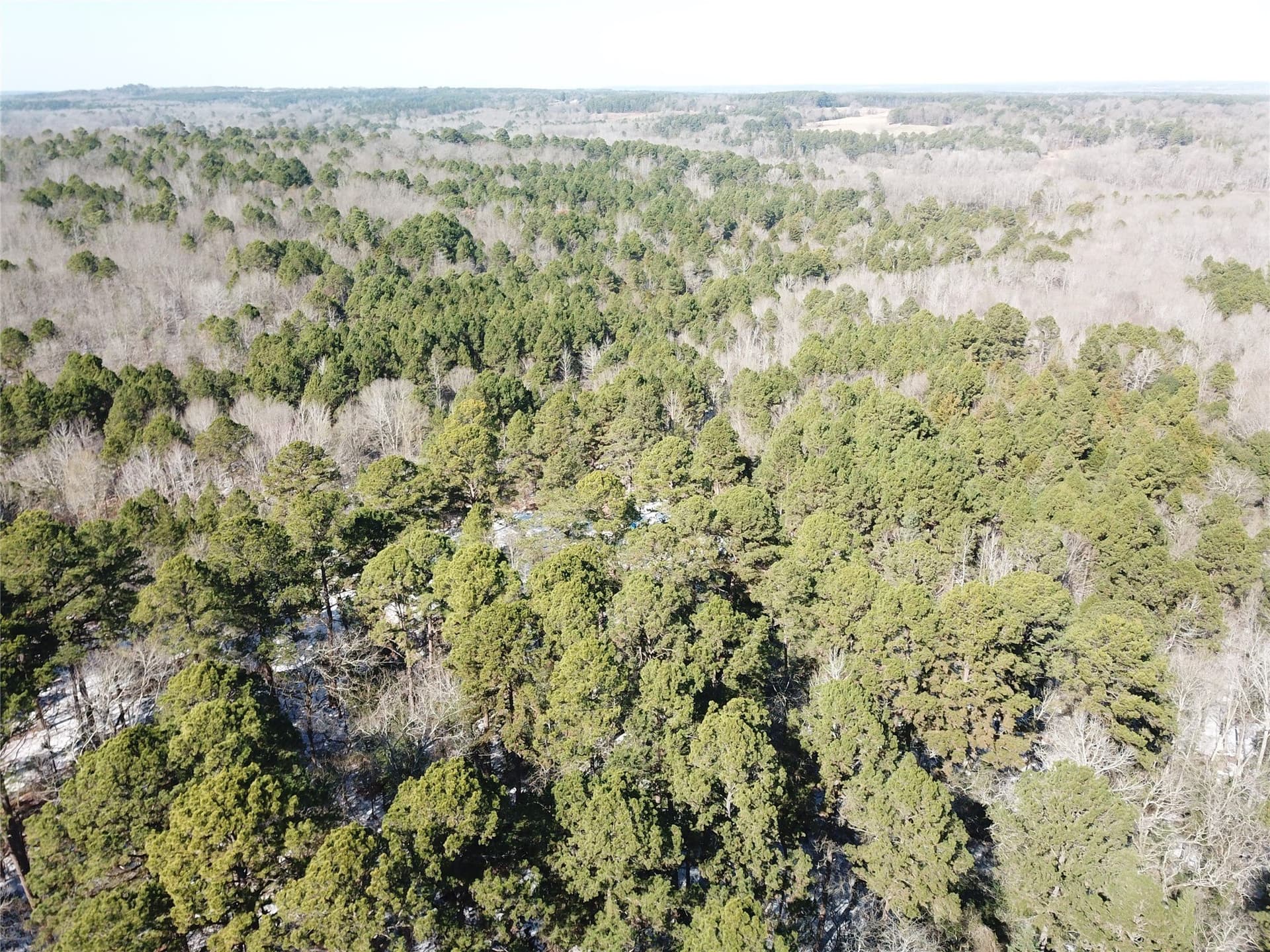 28.35 acres in Smith County - photo 11