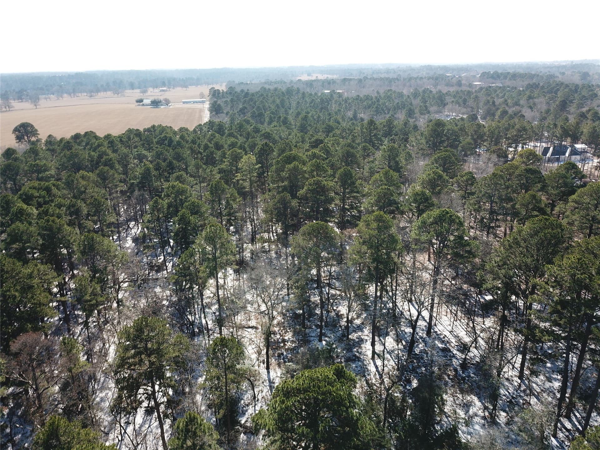 28.35 acres in Smith County - photo 14