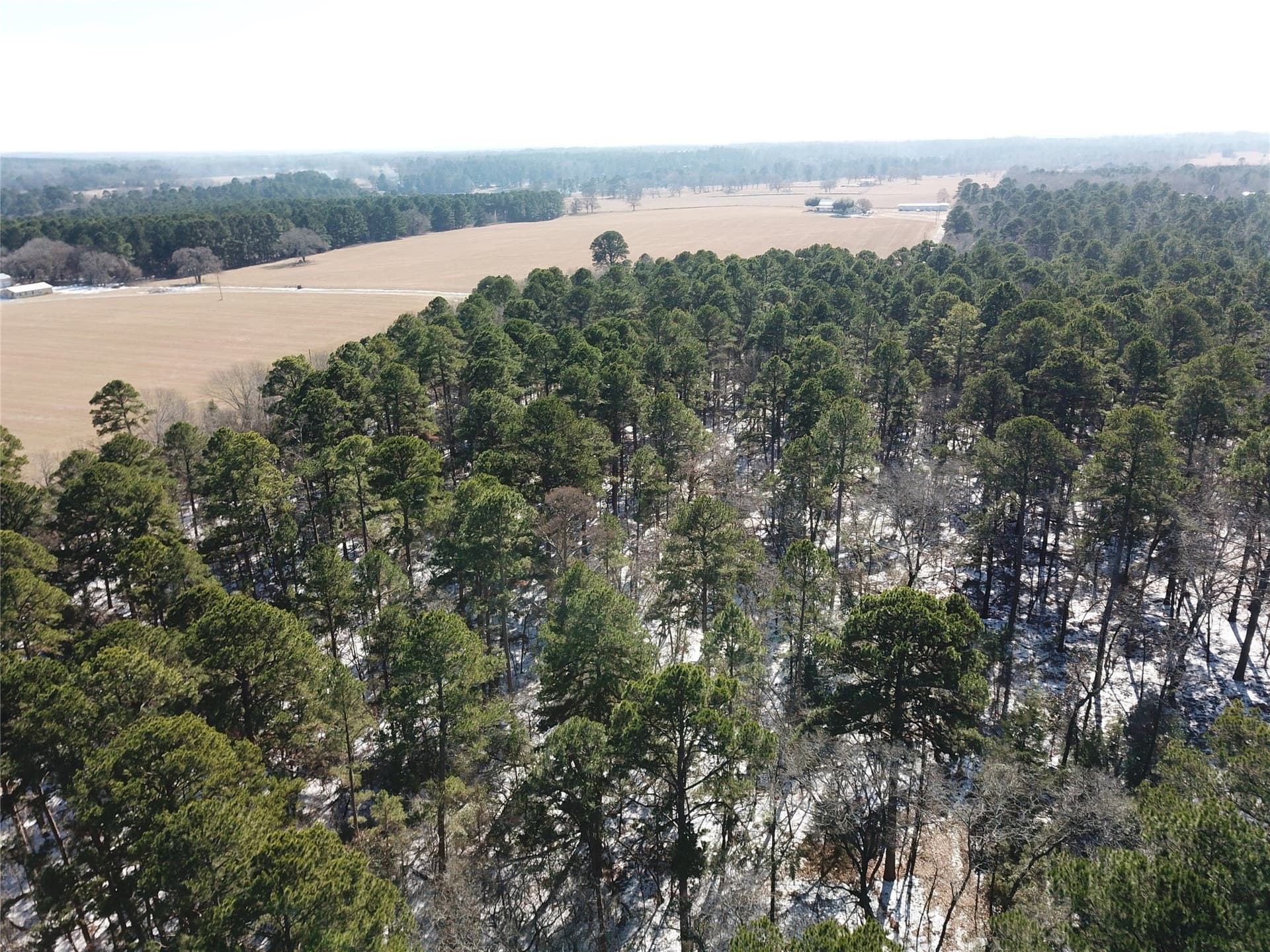 28.35 acres in Smith County - photo 13