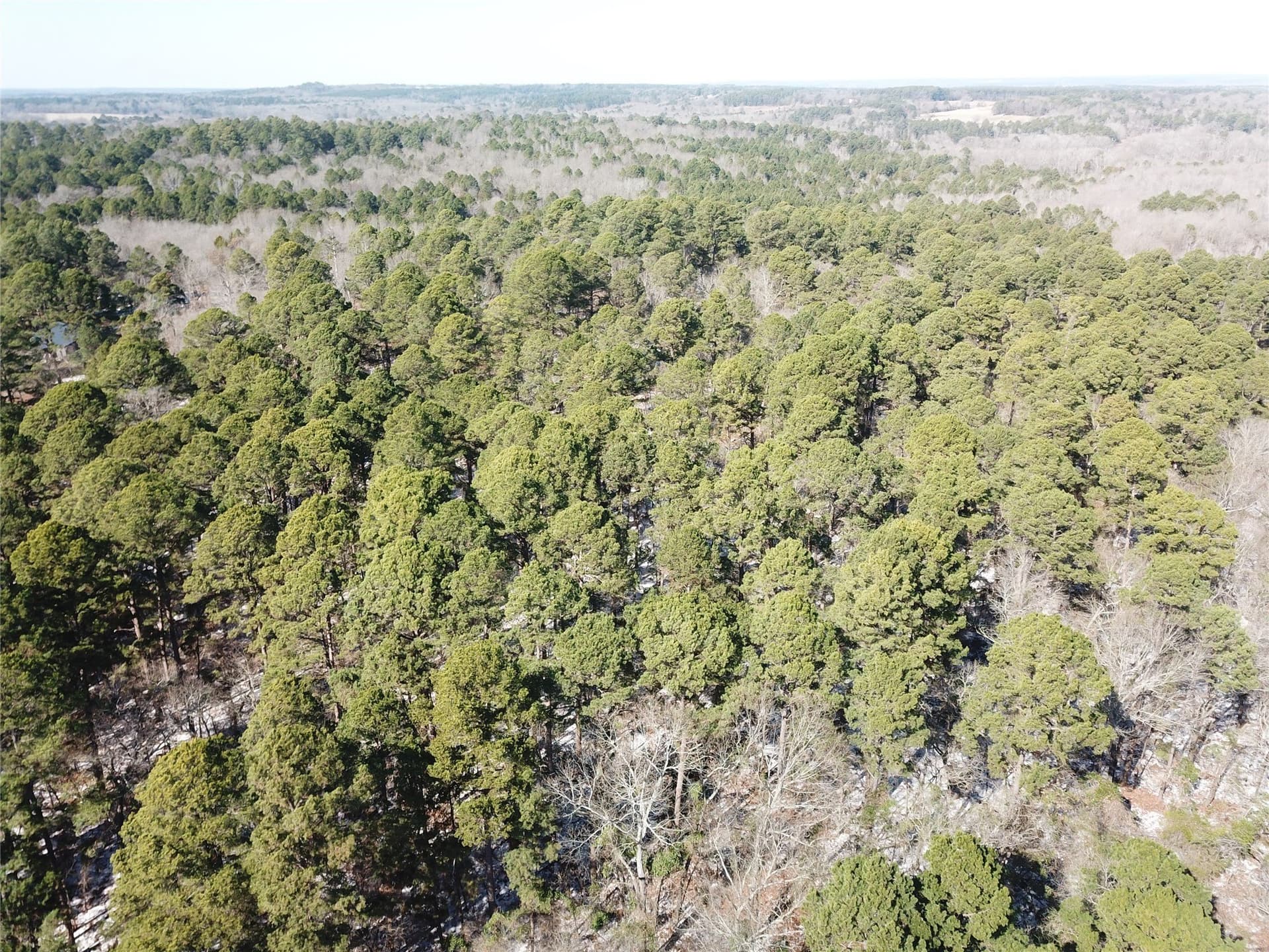 28.35 acres in Smith County - photo 7