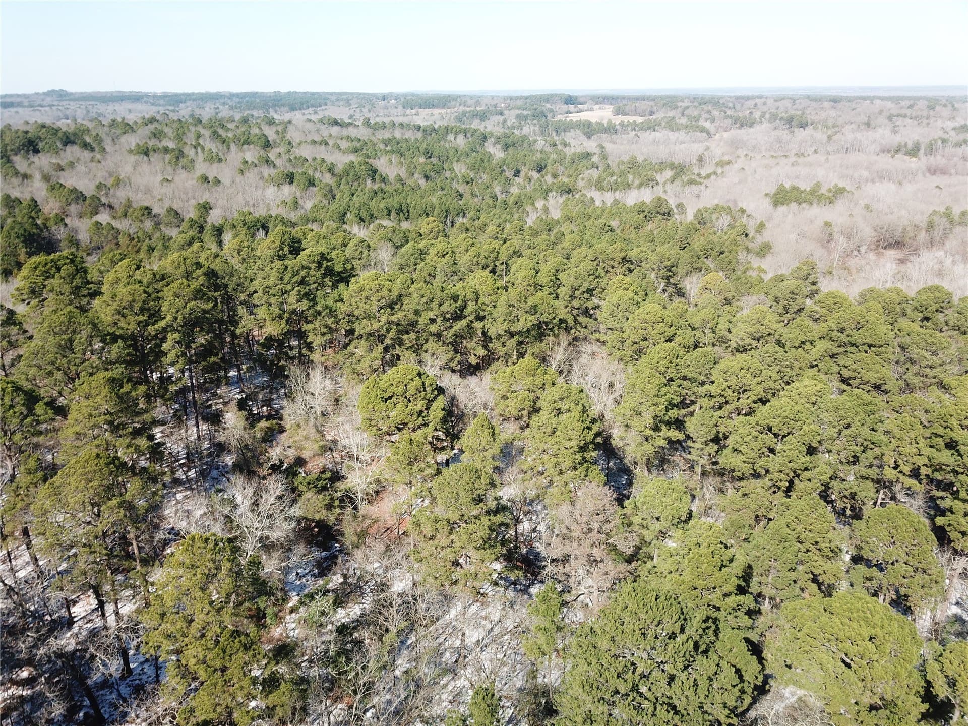 28.35 acres in Smith County - photo 9