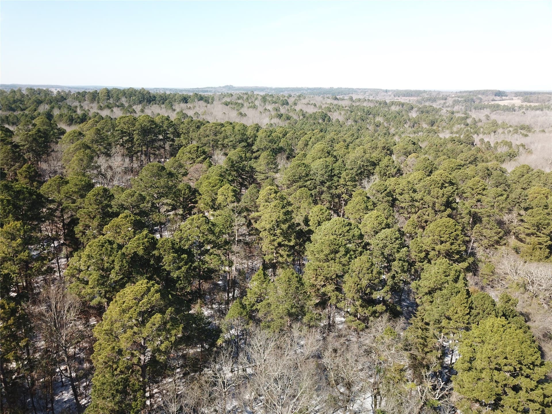 28.35 acres in Smith County - photo 4